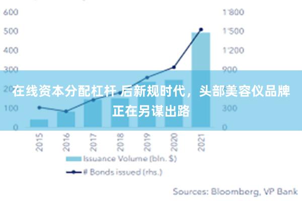 在线资本分配杠杆 后新规时代，头部美容仪品牌正在另谋出路