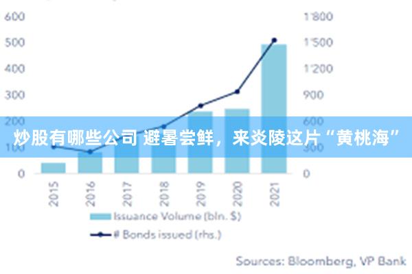 炒股有哪些公司 避暑尝鲜，来炎陵这片“黄桃海”