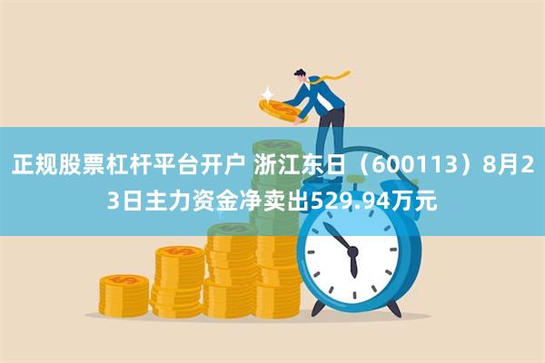 正规股票杠杆平台开户 浙江东日（600113）8月23日主力资金净卖出529.94万元