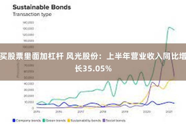 买股票里面加杠杆 风光股份：上半年营业收入同比增长35.05%