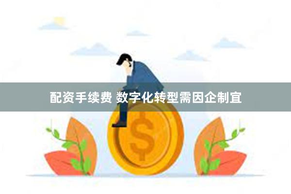 配资手续费 数字化转型需因企制宜