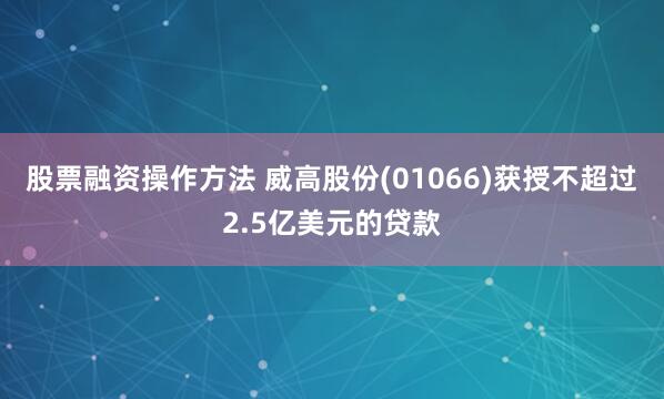 股票融资操作方法 威高股份(01066)获授不超过2.5亿美元的贷款