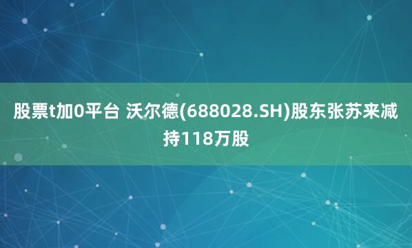 股票t加0平台 沃尔德(688028.SH)股东张苏来减持118万股