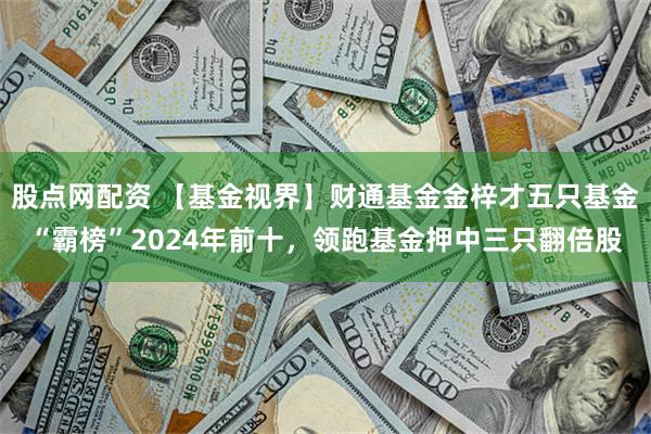 股点网配资 【基金视界】财通基金金梓才五只基金“霸榜”2024年前十，领跑基金押中三只翻倍股